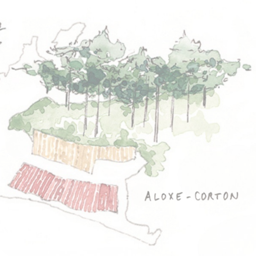 Prestations parcellaires de vignobles et illustrations propriétés viticoles