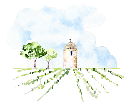 Tonnelle du Château Balestard la Tonnelle - Saint-Émilion - Mai 2026