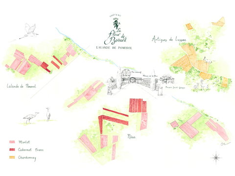Parcellaire Château La Fleur de Boüard - Lalande de Pomerol - mars 2026