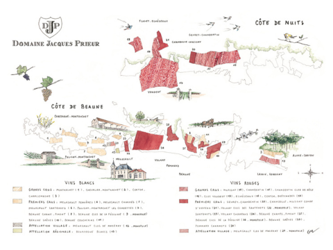 Illustration prestation parcellaires vignobles et illustrations propriétés viticoles - cartes parcellaires