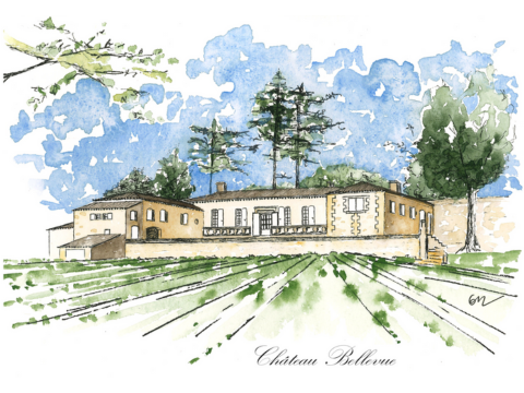 Illustration prestation parcellaires vignobles et illustrations propriétés viticoles - supports communication